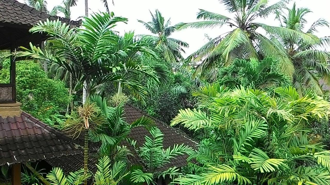 Sari Wangi Cottage อูบุด ภายนอก รูปภาพ