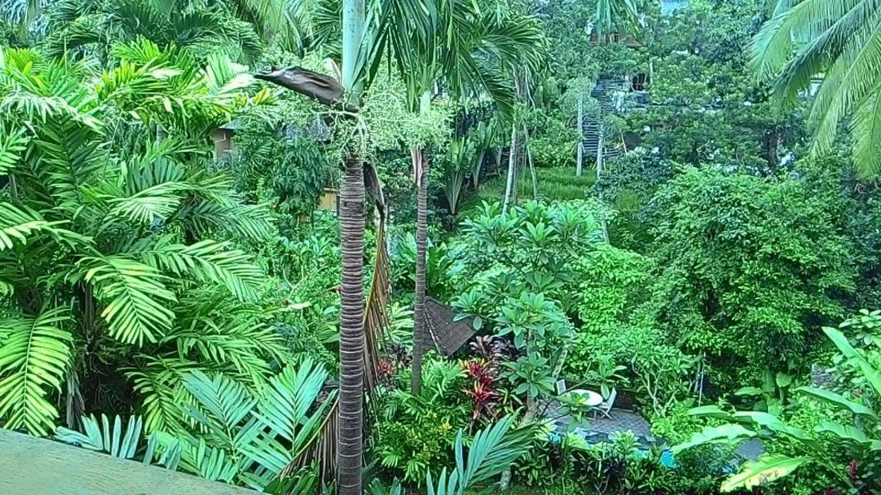 Sari Wangi Cottage อูบุด ภายนอก รูปภาพ