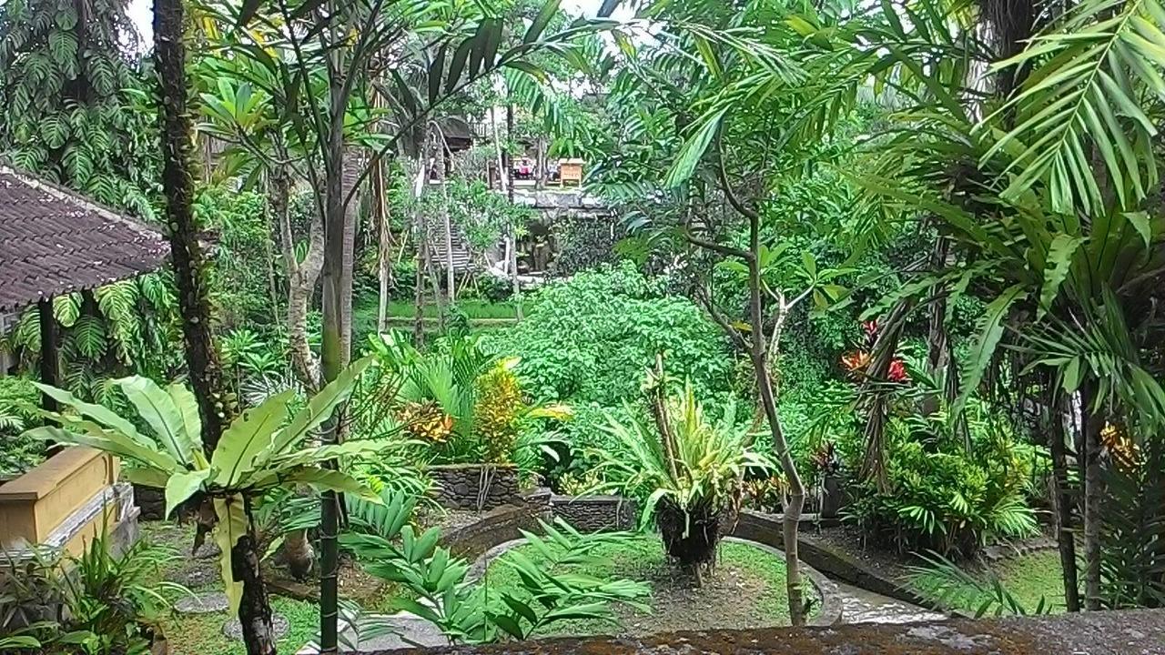 Sari Wangi Cottage อูบุด ภายนอก รูปภาพ